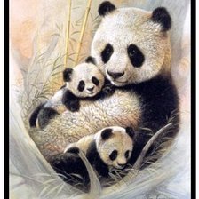 Оригинал схемы вышивки «panda» (№387267)