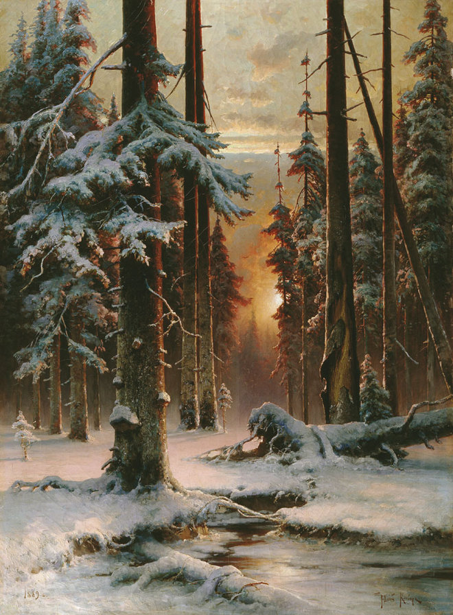 Зимний закат в еловом лесу - зима, закат, лесу, лес, клевер, зимний, еловом, еловый - оригинал