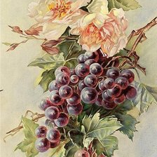 Оригинал схемы вышивки «цветение винограда» (№387854)