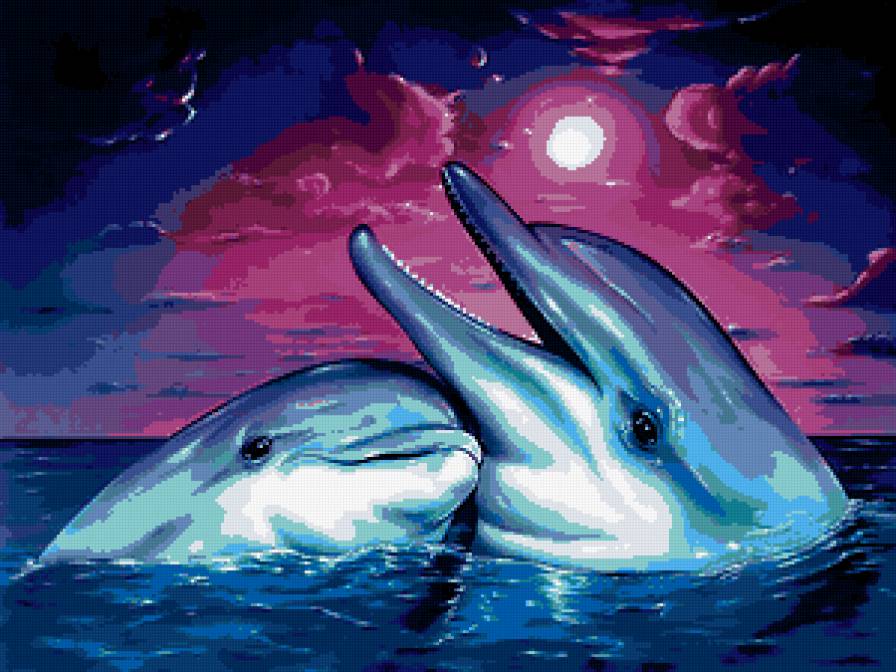 delfini - delfini, animals - предпросмотр
