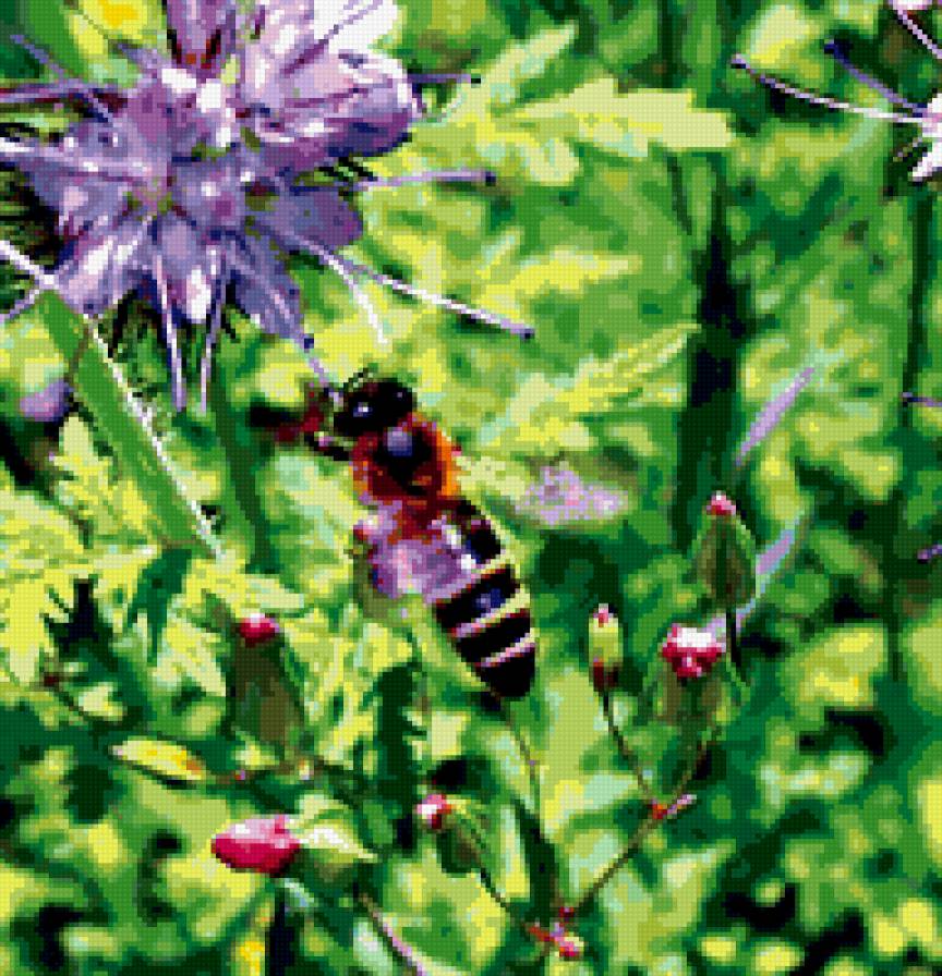 пчелка - насекомые, природа - предпросмотр