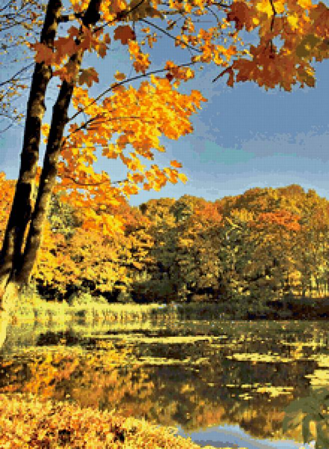 осень - деревья, осень, пруд, природа, пейзаж, озеро - предпросмотр