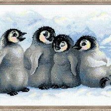 Оригинал схемы вышивки «пингвины» (№389403)