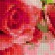 Предпросмотр схемы вышивки «Букет роз» (№389407)