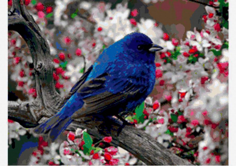 Птичка - цветы, красиво, птица, вишня - предпросмотр