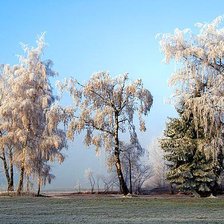 Оригинал схемы вышивки «Зимний пейзаж» (№389915)