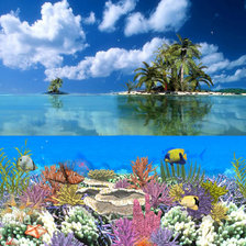 Коралловый остров
