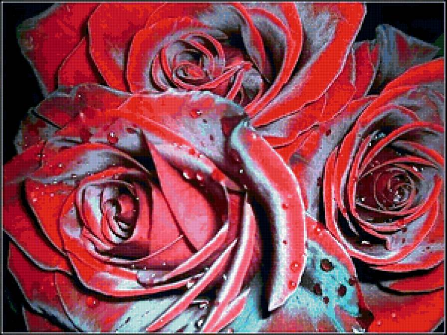 королева цветов - розы, цветы - предпросмотр
