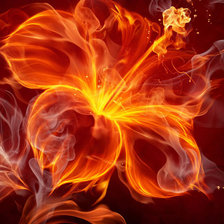 Оригинал схемы вышивки «Огненный цветок» (№390357)