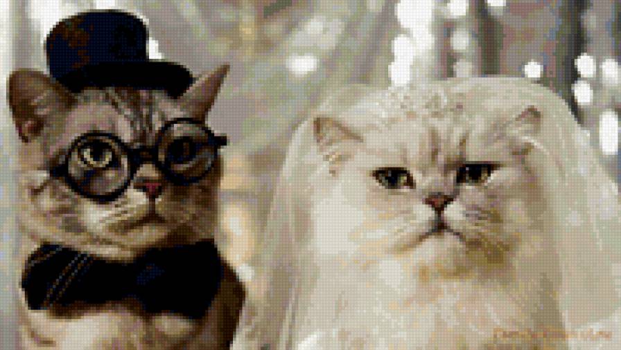 свадебные киски - кошки, свадьба - предпросмотр