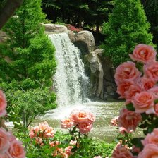 Схема вышивки «розы и водопад»