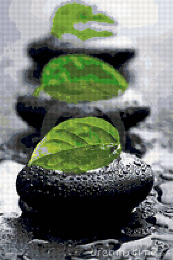Черно-зеленый - листья, дождь, камни - предпросмотр