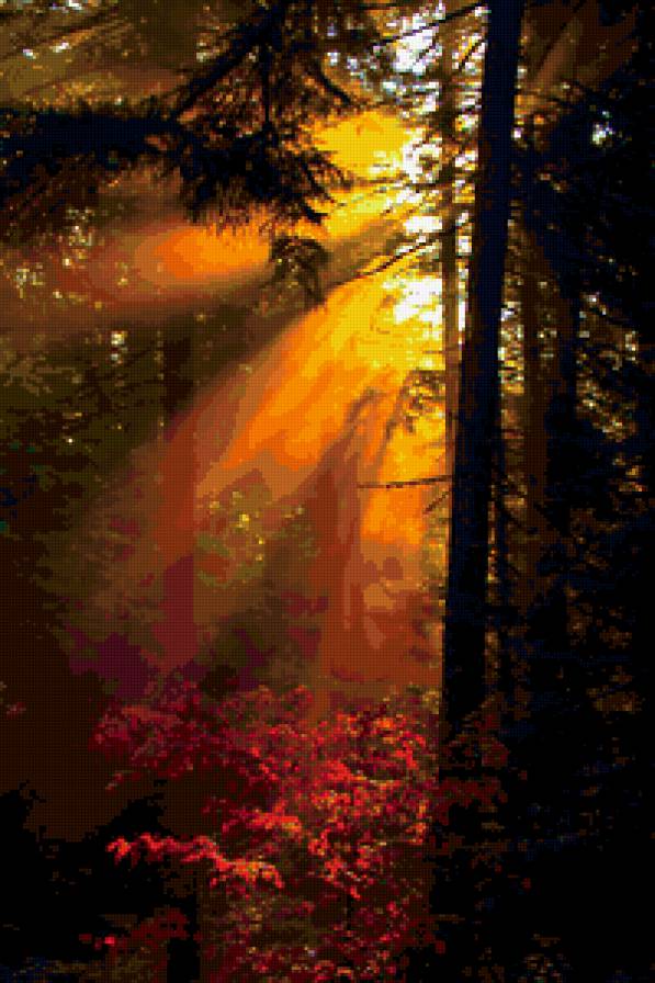 Лучик солнца - природа, лес, солнце - предпросмотр