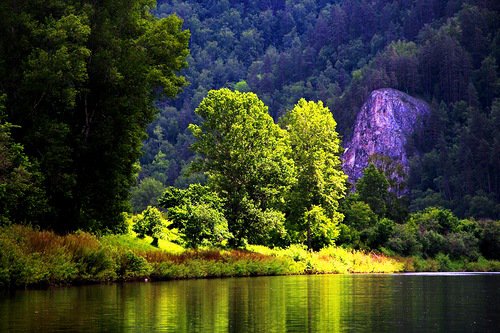 пейзаж - отражение, река, пейзаж, деревья - оригинал