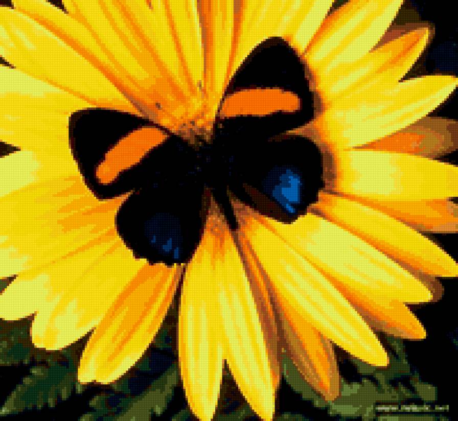 бабочка - цветок, бабочка - предпросмотр