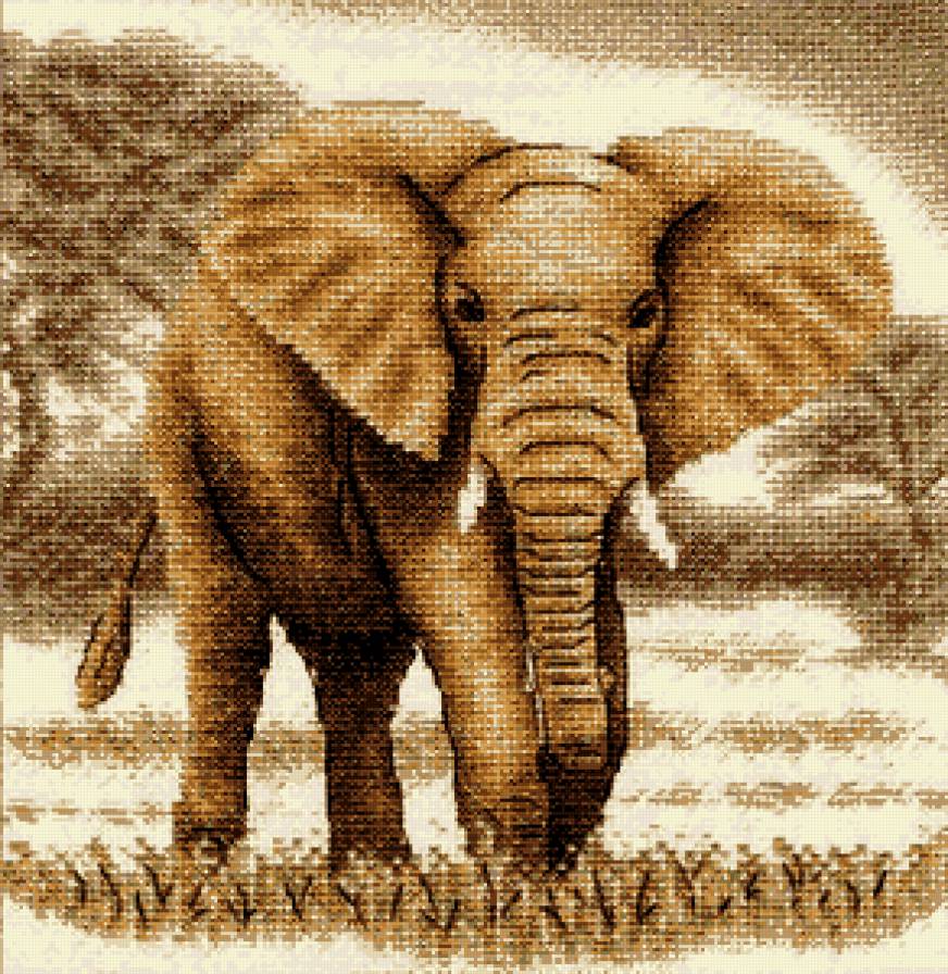 Слоны 3 - слоны, животные - предпросмотр
