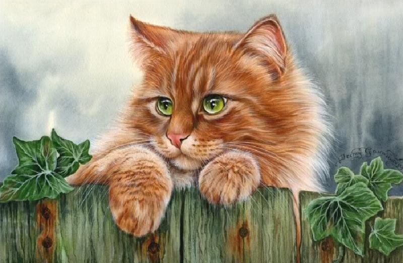 Художник Irina Garmashova - рисунок, кошка, кот - оригинал