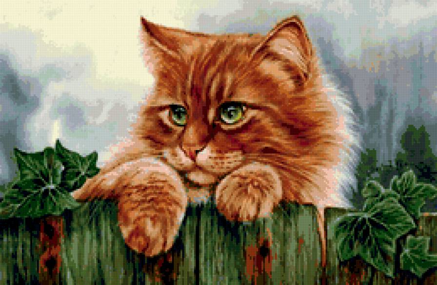 Художник Irina Garmashova - кот, кошка, рисунок - предпросмотр