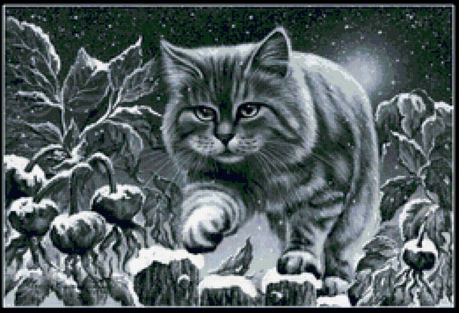 Художник Irina Garmashova - кошка, кот, зима - предпросмотр