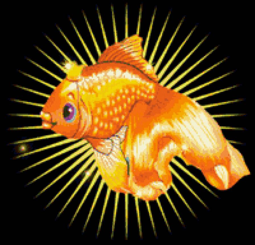 рыбка золотая - предпросмотр