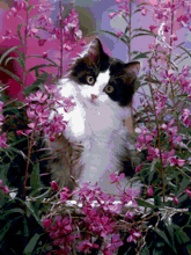котик в цветах - кот, цветы, глаза, кошки, природа, животные - предпросмотр