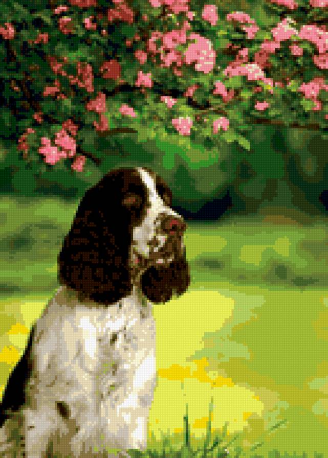 собачка - животные, природа, пес, собаки, цветы - предпросмотр