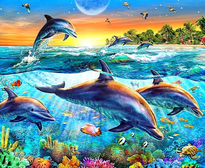 delfini - animals, delfini - оригинал