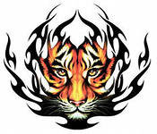 черно-серый тигр - тигр - оригинал