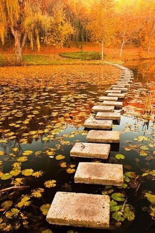 Каменная дорожка в озере.Польша. - озеро, осень, дорожка, красота, природа - оригинал