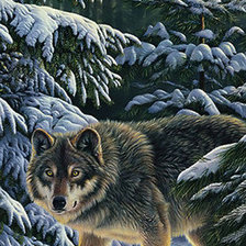 Оригинал схемы вышивки «одинокий волк» (№393666)