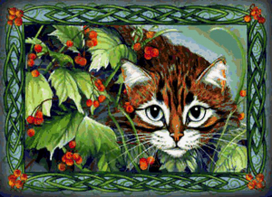 Серия "Кошки" - животные, ягоды, кошки, рябина - предпросмотр