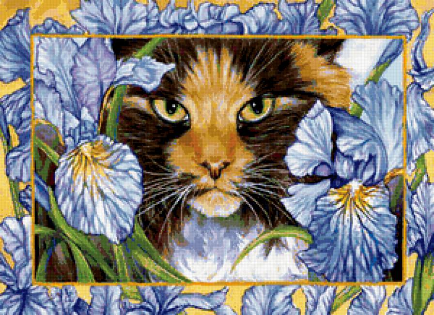 Серия "Кошки" - животные, кошки, ирисы, букет, цветы - предпросмотр