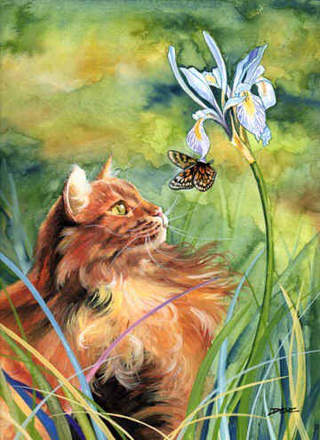 Серия "Кошки" - животные, цветы, бабочки, букет, кошки - оригинал