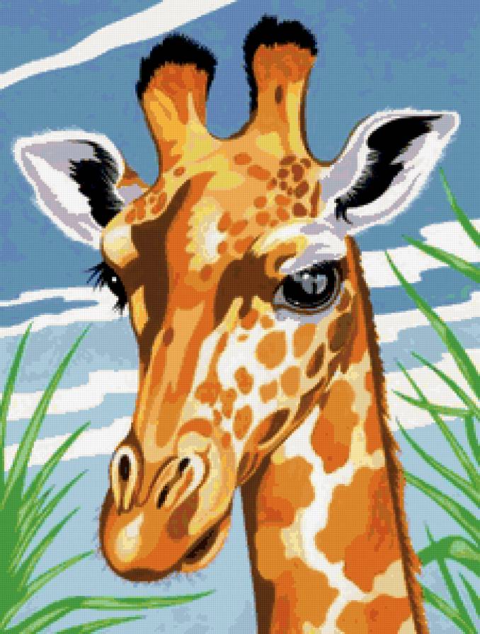 жираф - предпросмотр