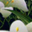 Предпросмотр схемы вышивки «лилии...» (№394720)