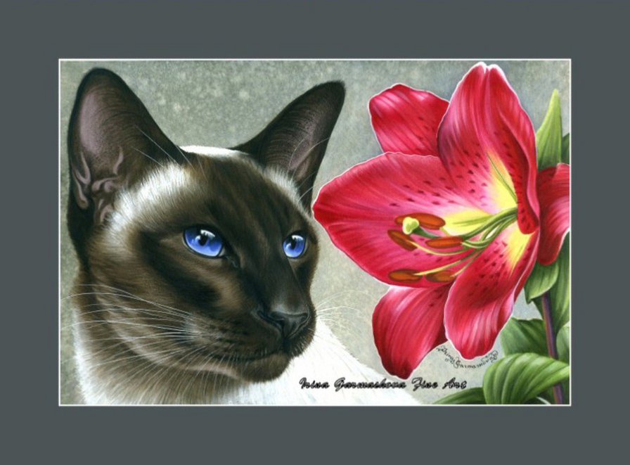 Кошки И. Гармашовой - кот, цветы, кошка - оригинал