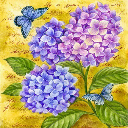 цветы и бабочки - лето, бабочка, цветы, цветы и бабочки, гортензия - оригинал