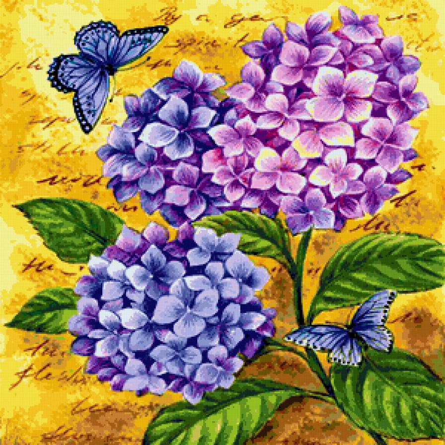 цветы и бабочки - лето, цветы и бабочки, гортензия, бабочка, цветы - предпросмотр