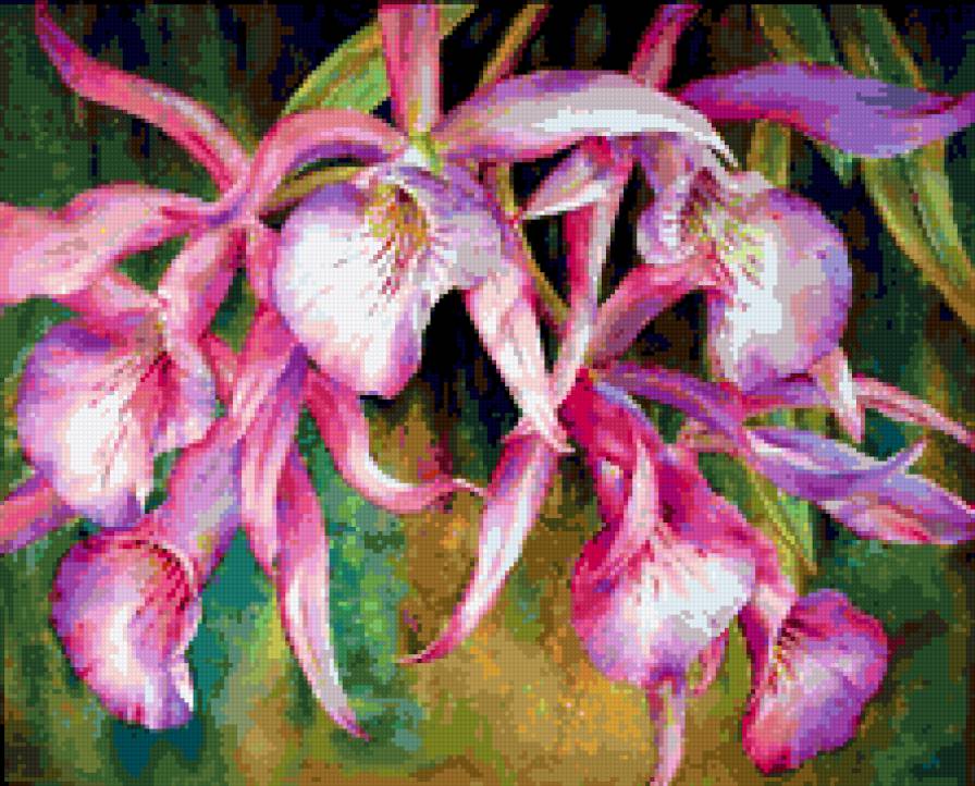 orhideya - orhideya - предпросмотр