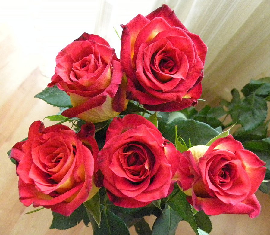 розы - розы, букет, цветы - оригинал