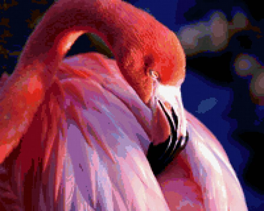 розовый фламинго - фламинго, птицы - предпросмотр