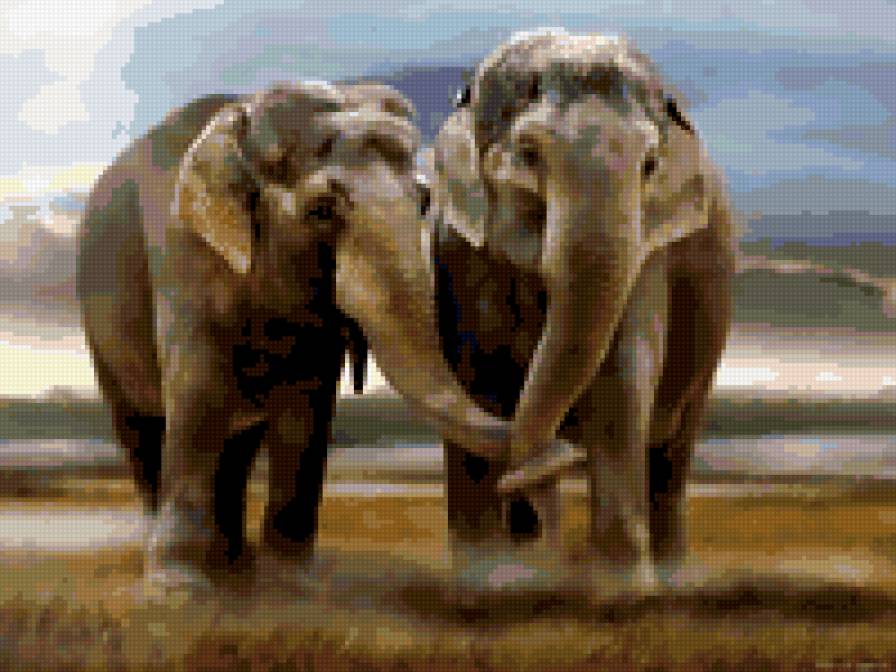семья слонов - африка, животные, слоны - предпросмотр