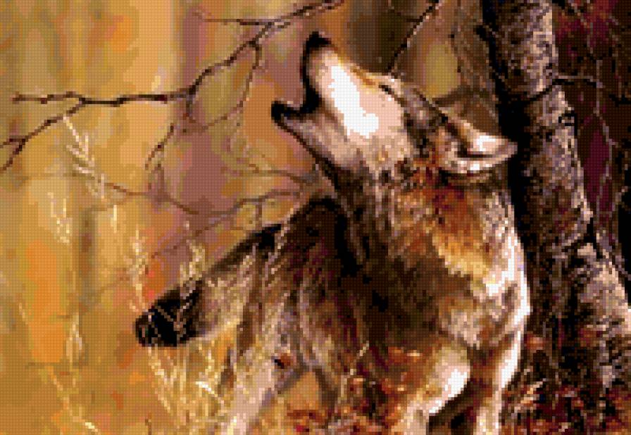 волчий зов - животные, волки - предпросмотр