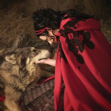 Схема вышивки «Amy Lee and Wolf»