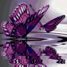 Схема вышивки «бабочки на воде»