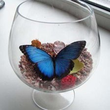 Схема вышивки «бабочка в бокале»