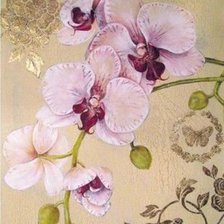Оригинал схемы вышивки «орхидея» (№395703)