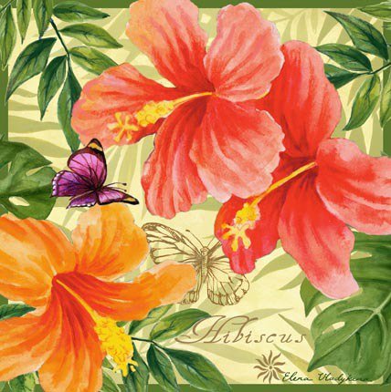 Подушка "Гибискусы" - гибискусы, тропики, цветы, гибискус, подушки, бабочка, подушка - оригинал