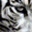 Предпросмотр схемы вышивки «тигр» (№396175)