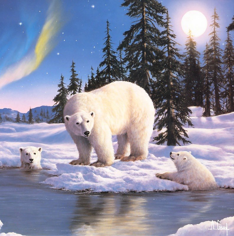 белые медведи - река, зима, природа, снег, лес - оригинал